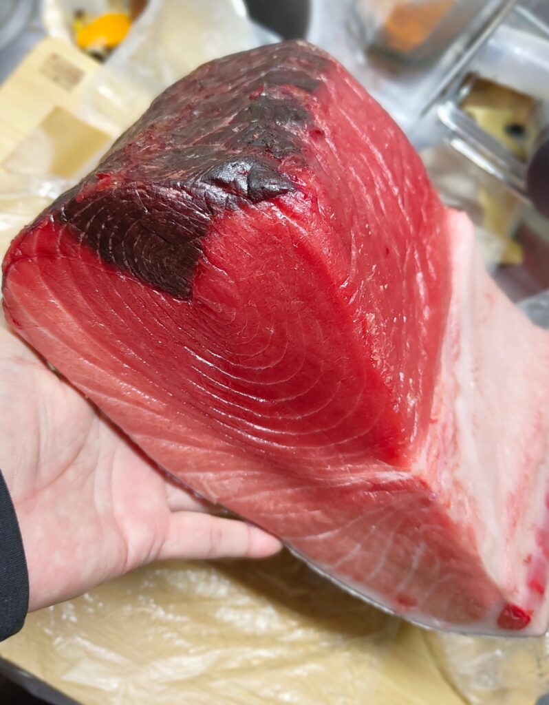 養殖本マグロ 腹中 ブロック 中トロ 大トロ 脂が多い 約4kg